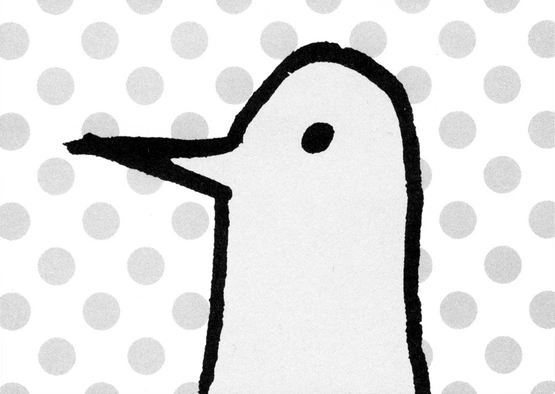 Image de l'album